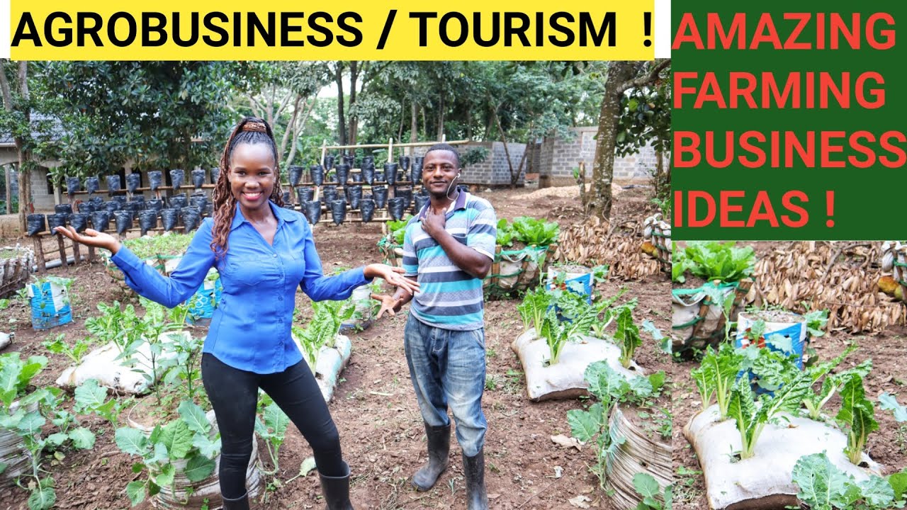 Incredible Model FARM For Beginners! - YouTube
