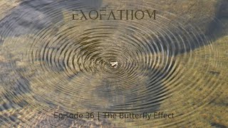 The Butterfly Effect