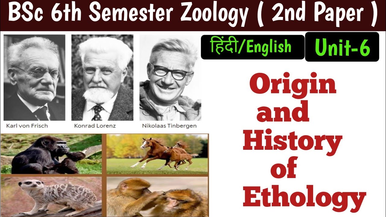 Origin & History of Ethology BSc 6th Semester Zoology 2nd//Origin & History of Ethology BSc 3rd Year