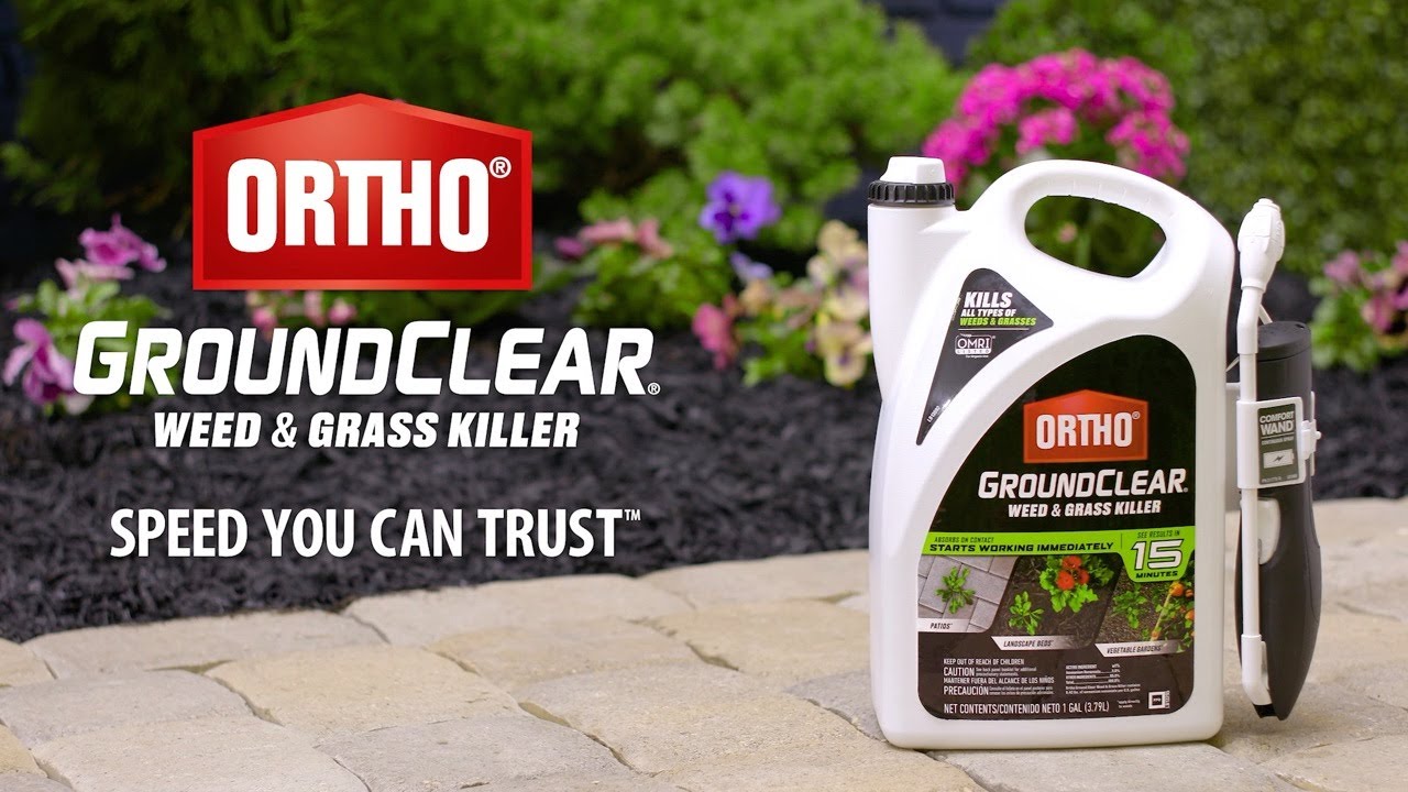 Kill Weeds and Grass in Your Sidewalk and Driveway Using Ortho