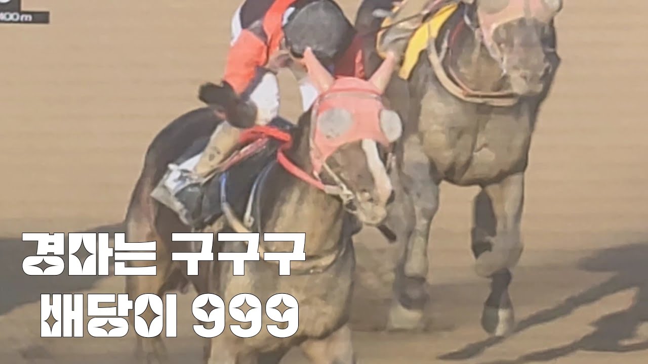 단식1위마 무너지니 구구구 터졌네!