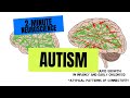 2-Minute Neuroscience: Autism