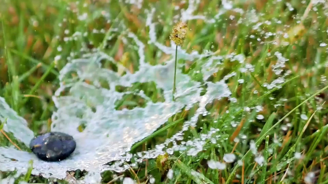 Lawn Mowing Services