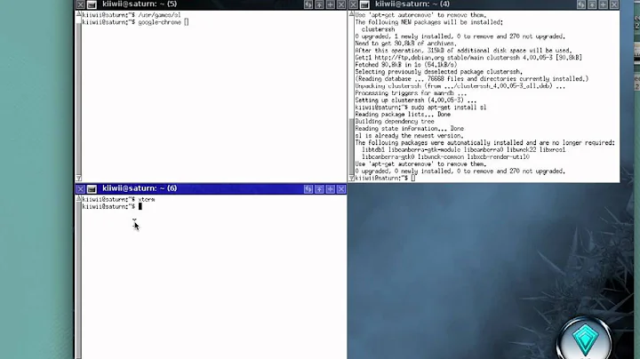 fvwm-crystal shows you the console power!