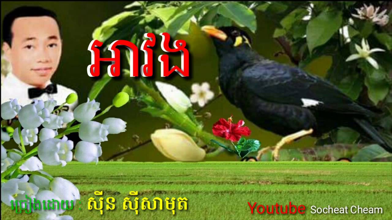 អាវង ( បណ្ដាំតាមសារិកា ) Avong - Sinn Sisamouth