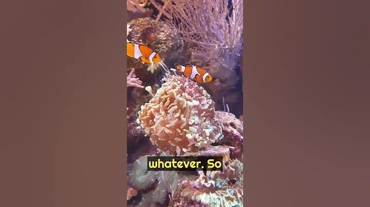 ❤️ Why Jealousy Is Not Hatred but Desire: Mel Robbins Motivation #shorts #thoughtprovoking #mindset