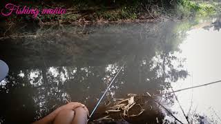 Fishing mania || mancing ambyar toketnya berbulu