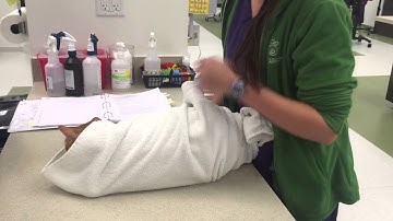 Feline Restraint, Towel Technique