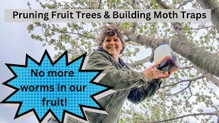 Preventing Wormy Fruit! Pruning Fruit Trees!!