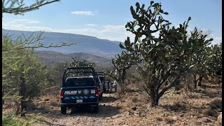 Sin vida encontraron a una mujer reportada como desaparecida en Aguascalientes