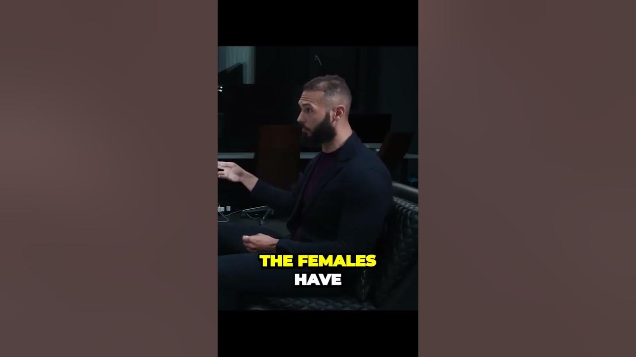 Truth About My Controversial Conversations with OnlyFans Girls YouTube Truth About My Controversial Conversations with OnlyFans Girls YouTube