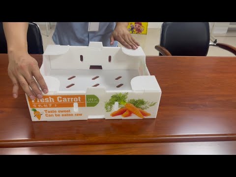 100 Recyclable Environmentally Friendly Corrugated Plastic Vegetable Boxes