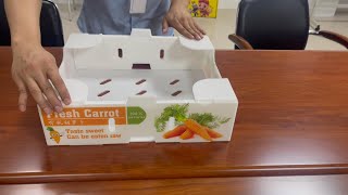 100% Recyclable Environmentally Friendly Corrugated Plastic Vegetable Boxes