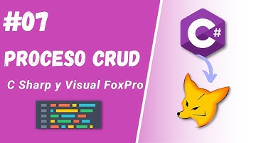 07- Entidad Producto | Proceso CRUD (C Sharp y Visual FoxPro)