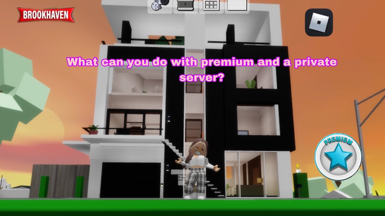 What can you with premium and a private server (Brookhaven RP) YouTube