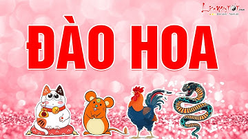 Top 4 Con Giáp Đào Hoa Khoe Sắc Tình Duyên Vượng Vận Trong Năm 2021 - Tử Vi 12 Con Giáp