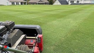 Feed and Prevent Disease  Golf Course Lawn  [Ron Henry  LIVE]