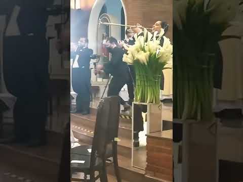 triunfal/marcha/ casamento. #noivas