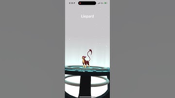 Evolving Shiny Purrlion Into Shiny Liepard In Pokémon Go