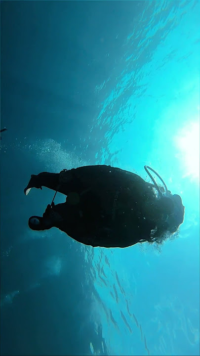 DIVING DI TULAMBEN 😍 #shorts