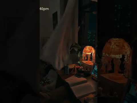 لسه كاس الحظ فاضي Trending 