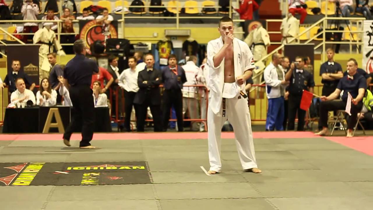 Tóth Marcell vs Cepla Vytautas - European Championship Shinkyokushin Belgium 2012