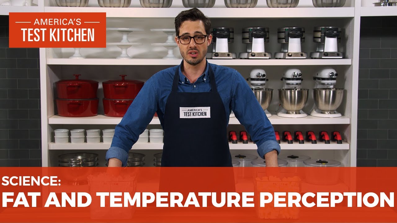 Dan Explains the Role of Fat in Temperature Perception | America