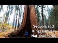 Sequoia and Kings Canyon National Parks - The Best Sights, Best Hiking, and More!