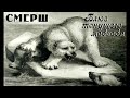 Смерш - Блюз Тонущего Медведя (1988) [Acoustic]