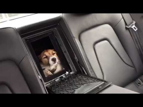 How to make your Audi A5 dog friendly – D.I.Y Car Project How to make your Audi A5 dog friendly – D.I.Y Car Project