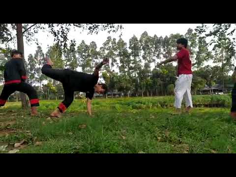 pencak silat garuda indonesia (PSGI)