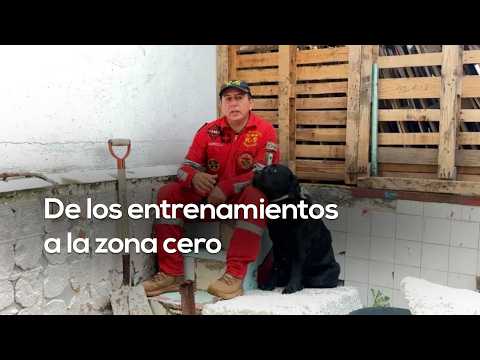 Bembo, the four-legged hero! How he saved lives in Colombia | #DIEC19NUEVES