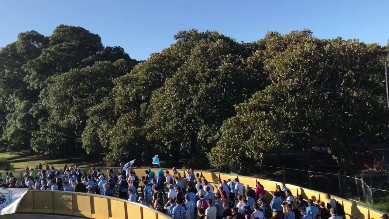 Sydney fc the cove grand final march 2017