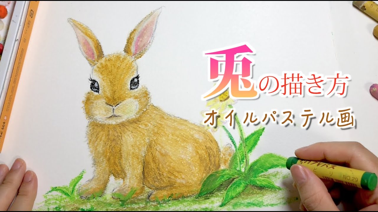 ウサギの描き方withサクラクレパス How To Draw A Rabbit With Oil Pastels Youtube