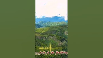سورة الأنبياء و،.كا؛.نك تسمعها لأ،؛و.ل مر.ة🏵️..💮💘،؛ 💝🌺💗بصوت الشيخ حمزة مد؛بو.ح 🌷💜،؛ 🌼💔..💓💞، 🌸🏵️