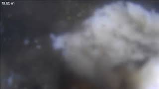 20260820 141411F