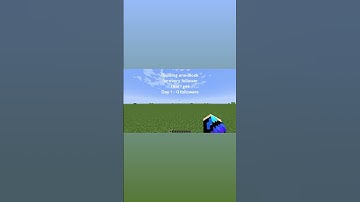 Day 1 #minecraft #minecraftshorts #buildingoneblock #shorts #dayone