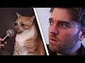 Shane vs Cat 📰 PEW NEWS📰