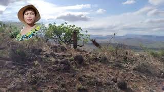 Visiting the Spirit of Emakhosini, Ulundi.