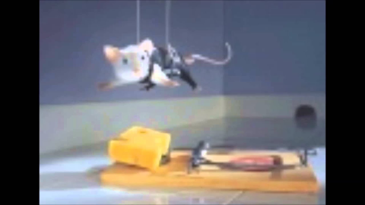 Dark-Side of (Hard)Trance Live mixed by DJ PASSION 2004/05