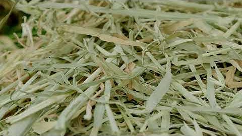 Lesson 1: Dry Matter