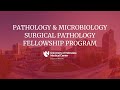 Pathology and Microbiology Surgical Pathology Fellowship Program