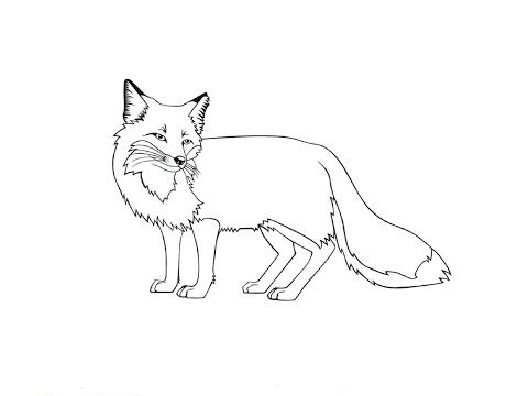 How to Draw a Fox / Как нарисовать лису