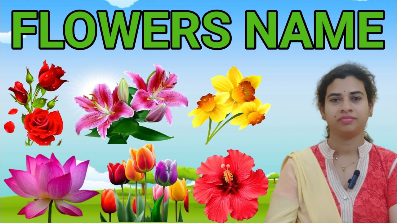 flowers-name-hindi-and-english-educational-video