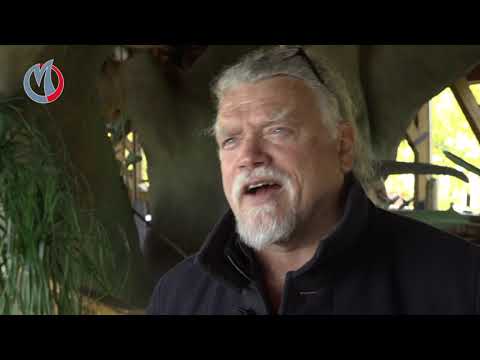 Actueel - Vaccinatiebus en De Ark van Noach