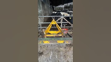 Operation Gate Part 1 #cow #farmliving #farmlife #farm #farming