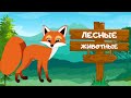 ДИКИЕ ЖИВОТНЫЕ и их звуки для детей Развивающее видео