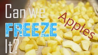 CAN WE FREEZE IT? Fresh Apples?