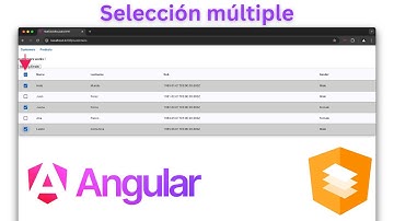 Cómo crear una tabla reutilizable con Angular Material y Angular 18 | Selección múltiple