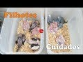 Tudo Sobre os Filhotes - Cuidado, Alimentação, Manejo!